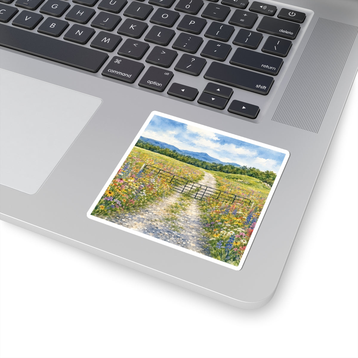 Vermont Camel's Hump Wildflowers Kiss-Cut Stickers