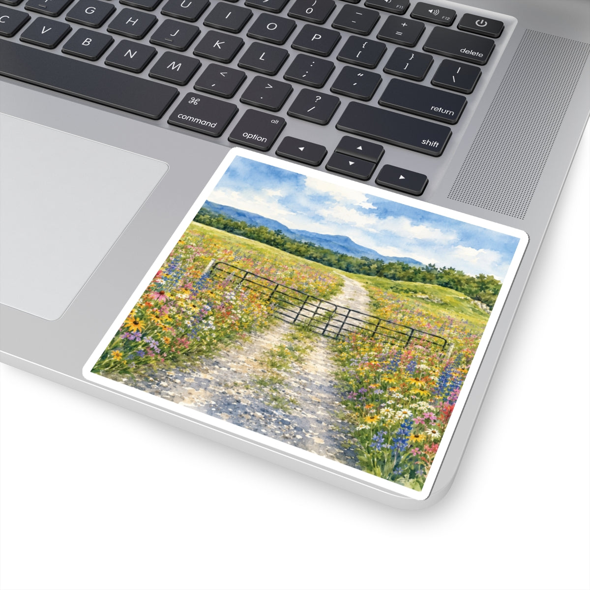 Vermont Camel's Hump Wildflowers Kiss-Cut Stickers